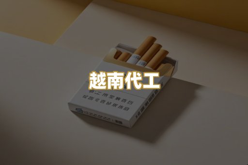 越南代工
